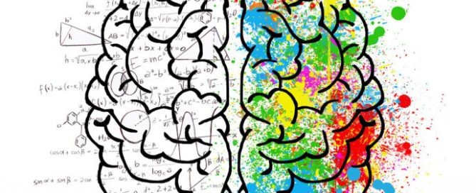 creative left brain logical right brain